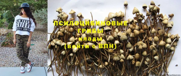 винт Аркадак