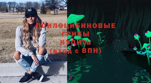 Альфа ПВП Арсеньев