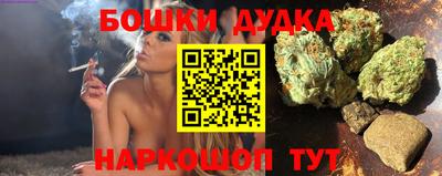 гашик Тулун