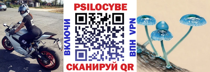 Псилоцибиновые грибы прущие грибы  Заинск 