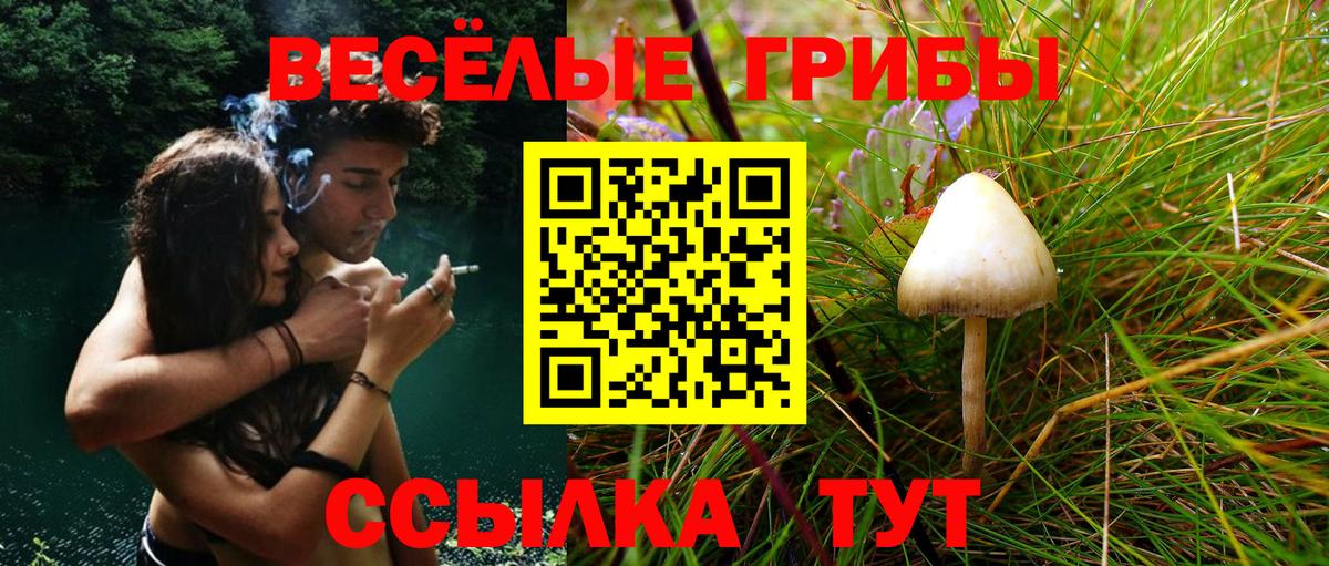 Заинск  Псилоцибиновые грибы Psilocybine cubensis  наркошоп  Вход с VPN 